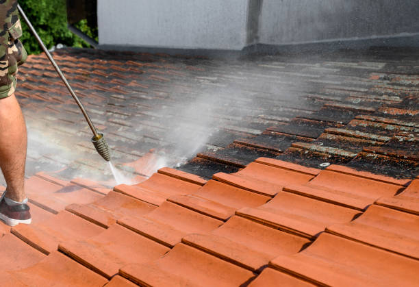 Best Affordable Pressure Washing  in Shoreacres, TX