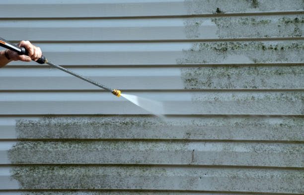 Best House Pressure Washing  in Shoreacres, TX