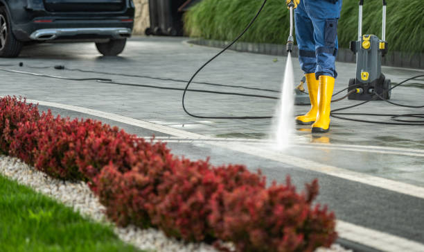 Best Exterior Home Cleaning  in Shoreacres, TX